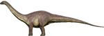 Apatosaurus