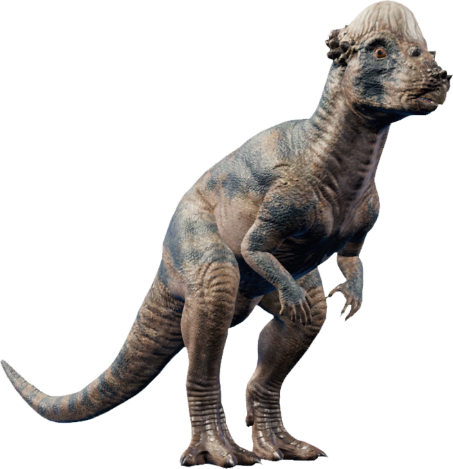 Pachycephalosaurus Jurassic World Evolution Wiki Fandom