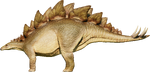 Stegosaurus (B)