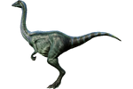 Archaeornithomimus