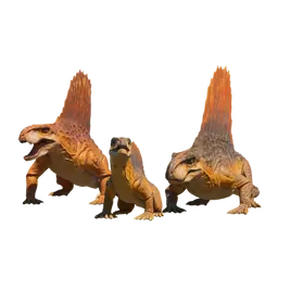 Database (Evolution 3)