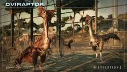 EyJidWNrZXQiOiJmcm9udGllci1jbXMiLCJrZXkiOiIyMDIyLTEyL2p3ZTJfZGxjNV9zY3JlZW5zaG90c18xOTIweDEwODBfb3ZpcmFwXzJfd20uanBnIiwiZWRpdHMiOnsicmVzaXplIjp7IndpZHRoIjoxOTIwfX19.jpg (336 KB)