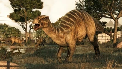 Malta Iguanodon variant