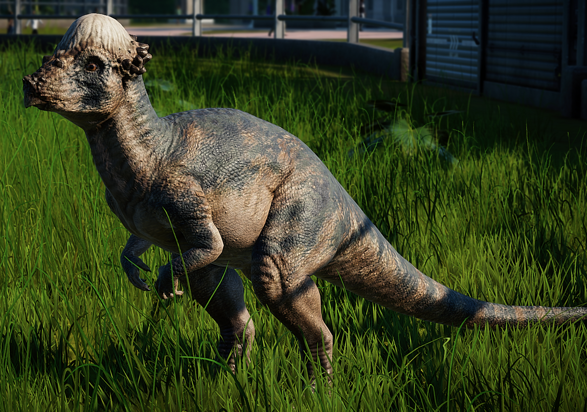 Pachycephalosaurus Jurassic World Evolution Wiki Fandom Pachycephalosaurus Jurassic World Evolution Wiki Fandom