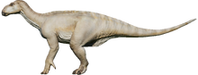 Iguanodon