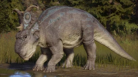 Pachyrhinosaurus JWE2