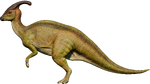 Parasaurolophus (C)