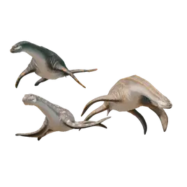 Database (Evolution 3)