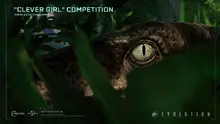 JWE Clever Girl Competition