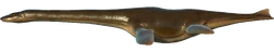 Plesiosaurus Limpopo River skin from Evolution 2