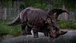 C9ha7awe4ik41hhh.png (3.86 MB)