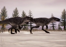 Yutyrannus pack