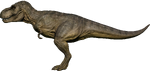 Tyrannosaurus