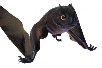 Deinocheirus, DinoDB