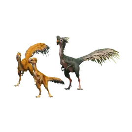 Database (Evolution 3)