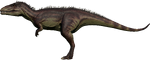 Carcharodontosaurus