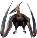 Pteranodon