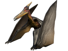 Pteranodon