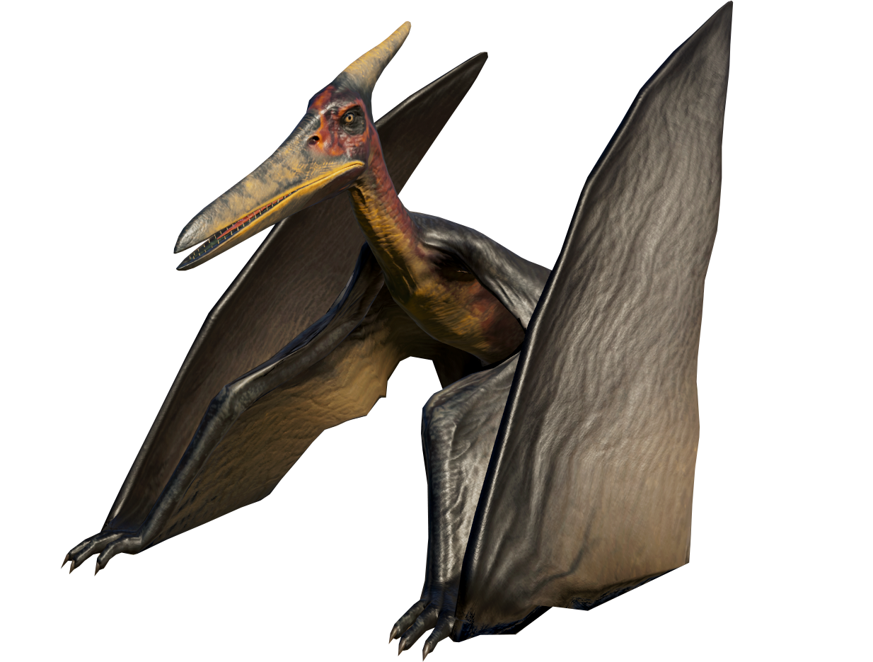 Pteranodon (The Lost World, Jurassic Park 3, Jurassic World)