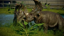 SINORIPA.jpg (577 KB)