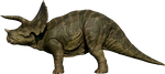 Triceratops