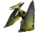 Pteranodon