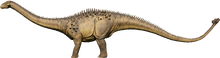 Ankylodocus