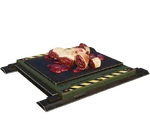 ExtGroundCarnivorefeeder