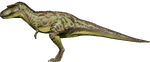 Albertosaurus