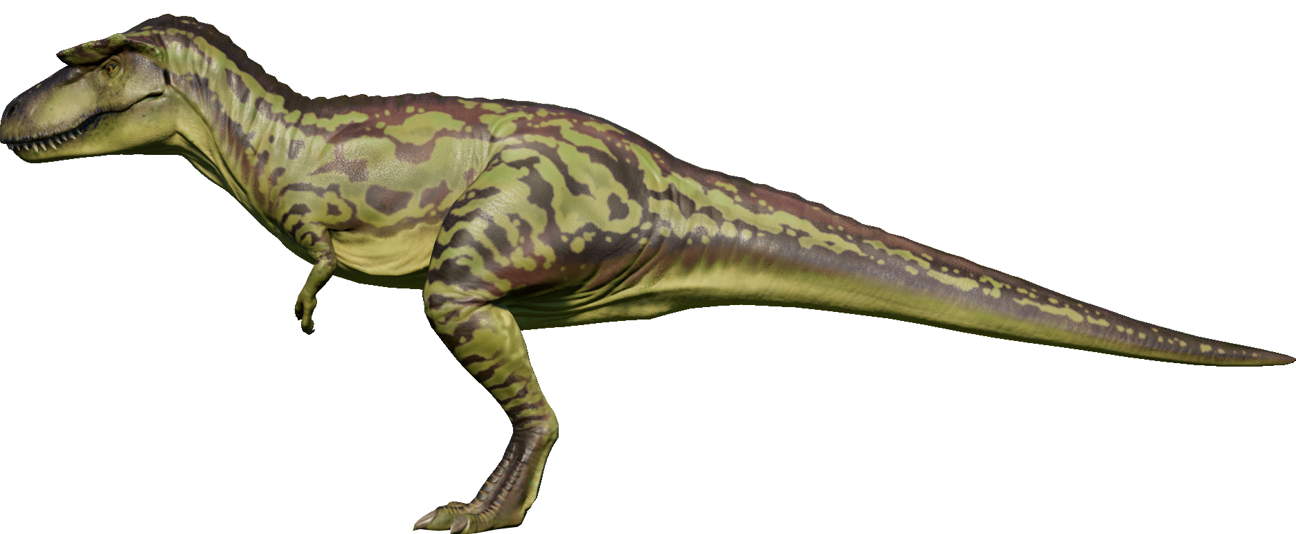 albertosaurus