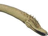 Elasmosaurus