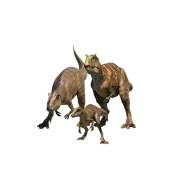 Database (Evolution 3)