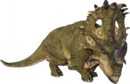 Sinoceratops