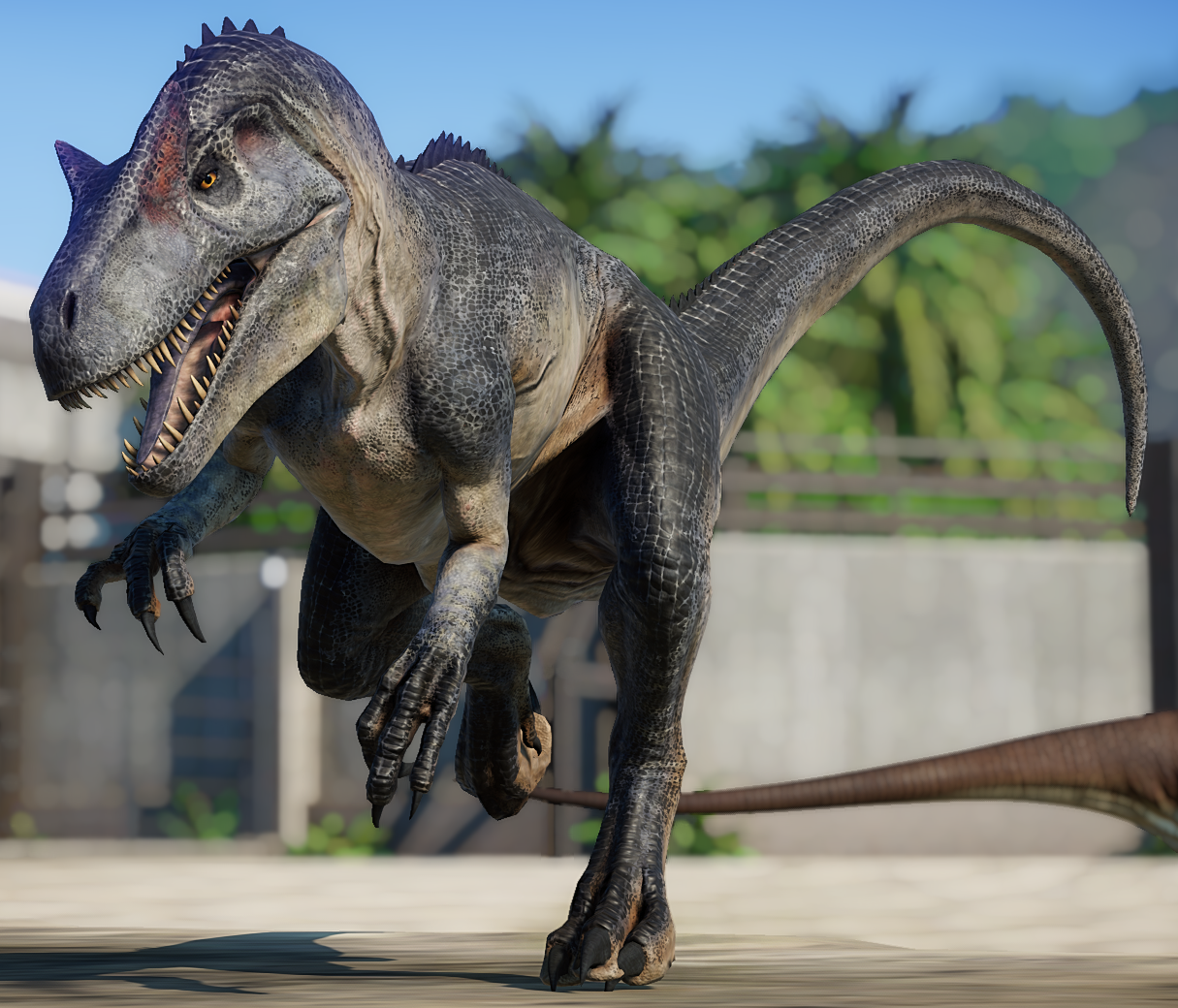 allosaurus vs t rex