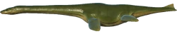 Plesiosaurus Salar del Huasco skin from Evolution 2