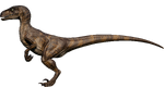 Velociraptor