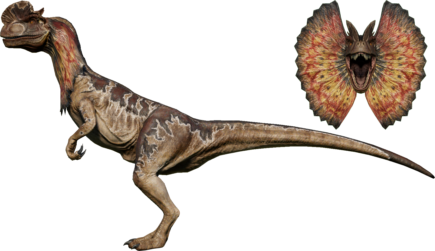 Dilophosaurus Introduction to