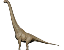 Dreadnoughtus