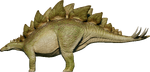 Stegosaurus (C)