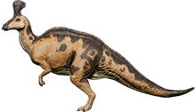 Tsintaosaurus