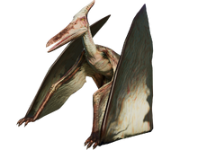 Pteranodon