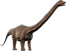 Diplodocus