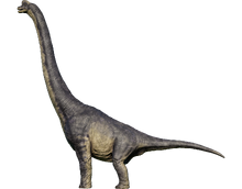 Brachiosaurus