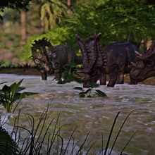 Chasmosaurus Jurassic World Evolution Wiki Fandom Chasmosaurus fossils are first unlocked on isla pena then excavated in the dinosaur park formation , horseshoe canyon formation , and scollard formation. chasmosaurus jurassic world evolution