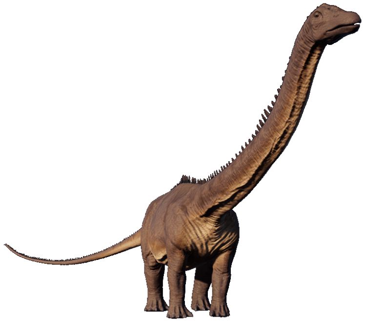 File:Diplodocus4.jpg - Wikipedia