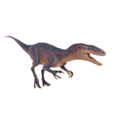 Australovenator