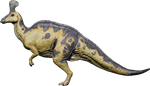 Tsintaosaurus