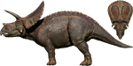 Torosaurus