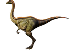 Archaeornithomimus