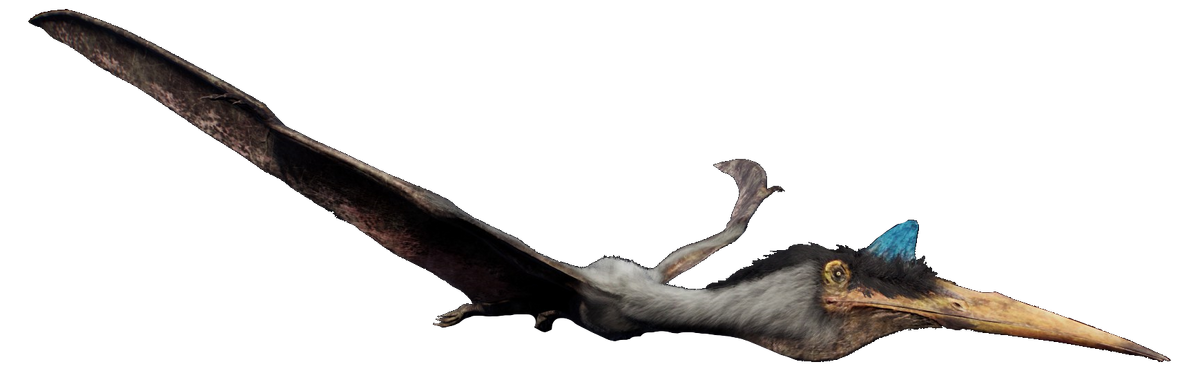 Quetzalcoatlus Jurassic World Evolution Wiki Fandom 